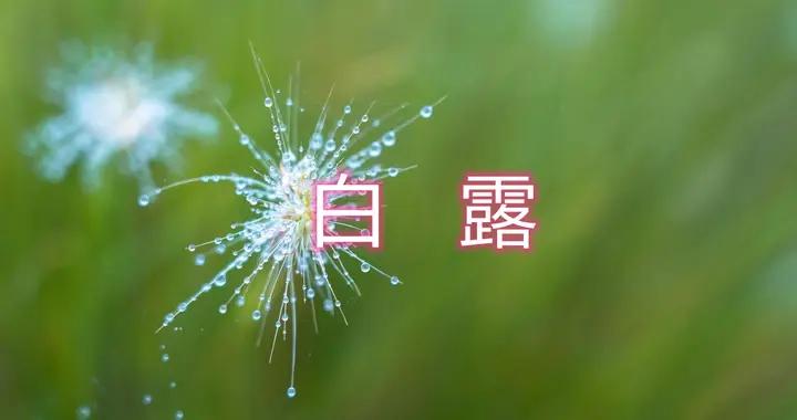 今天白露，提醒家人：“4樣不上桌，福氣不進門”，老傳統別忘了