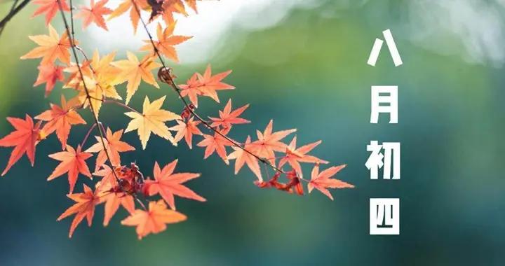 “八月初四晴，穀米白如銀”，明日八月初四，啥意思？老祖宗咋說
