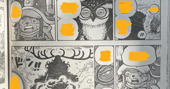 海賊王1194：喬巴得知自己是森林之神，鋼骨空打敗黑鬍子，救卡普
