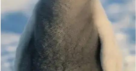 最新笑話：老王，看到你兒子長得一點都不像我，那我就放心了