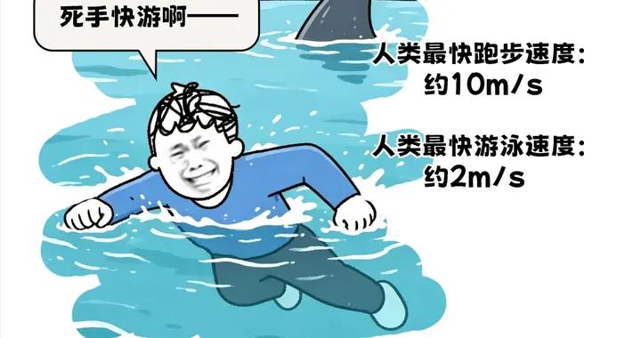 爲什麼美國人那麼熱衷給鯊魚拍恐怖片？