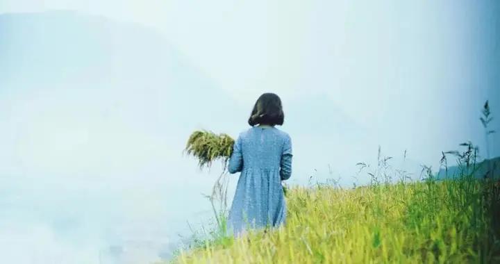 5條人生歪理，治癒所有迷茫內耗