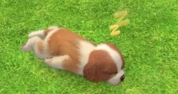 爲什麼過了15年，玩家還在“招魂”那隻賣了2400萬份的賽博小狗？