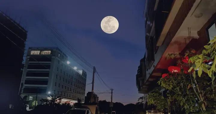 今年中秋爲什麼沒味了：不是月不圓，是大人不想演了