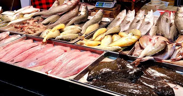 霜降後“大補的魚”！不是泥鰍黃鱔，而是這3種應季鮮魚，別錯過