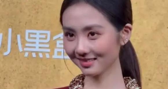 黃多多紅毯首秀造型引熱議，網友態度兩極分化，黃磊態度引人深思