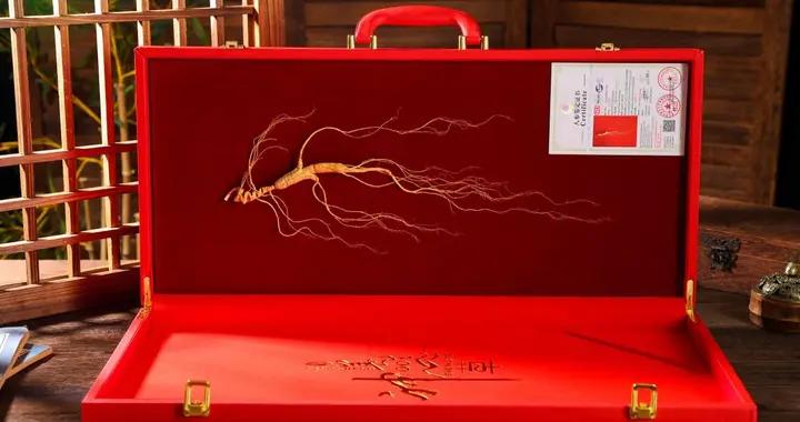 2026年哪個牌子野山參最好？七大優質品牌橫向測評，原料特點解析