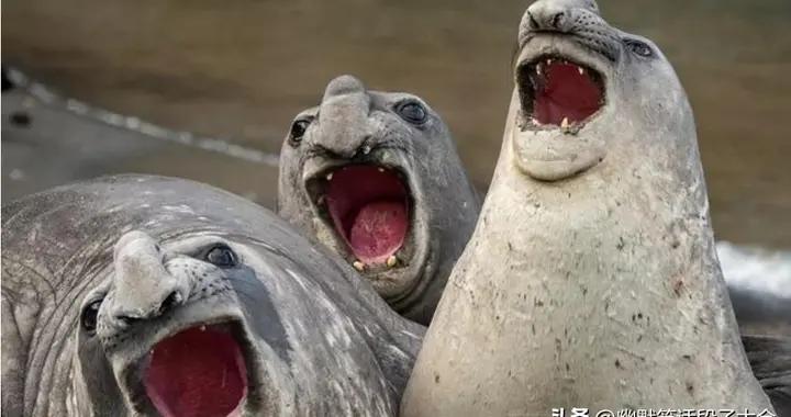 12個剛出爐的爆笑幽默笑話，個個讓你爆笑不停，看完你笑了幾天?