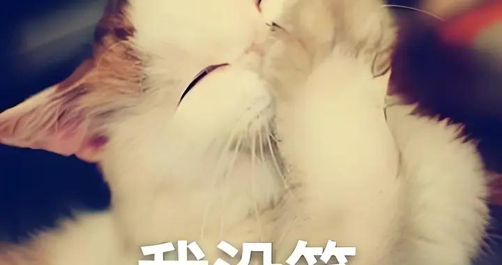 笑到肚子疼的幽默笑話，夠你笑7天7夜了！絕對承包你一週的笑點！