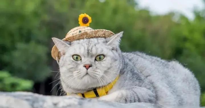 今年最火的13個爆笑幽默笑話，看一次笑一次，看完你笑了幾天？