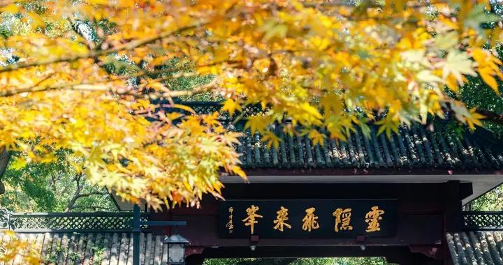 杭州又一景區，取消門票！