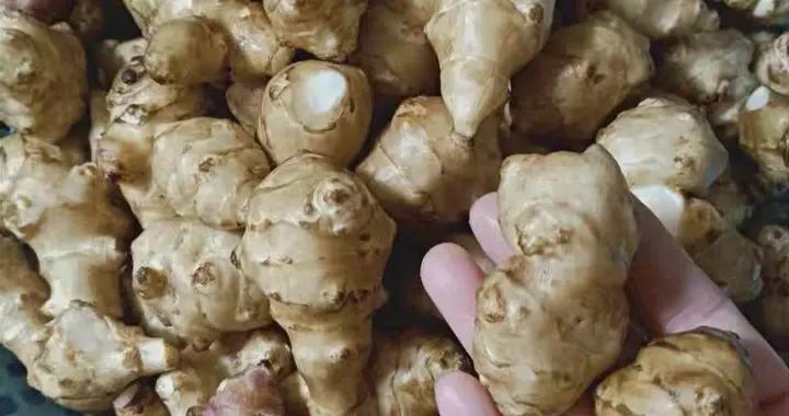 醃鬼子姜詳細做法，醃好後酸辣脆爽、不長白毛，放上一年也不壞！