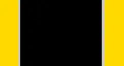 鋰在大腦中發揮神祕作用，能否用以防範阿爾茲海默病？