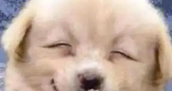 12個笑到抽筋的短笑話，個個笑點拉滿，讓你笑上三天四夜