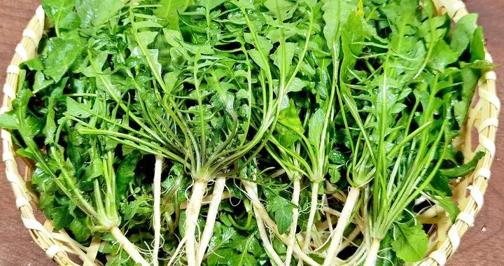 比蘿蔔營養，比白菜還鮮，冬天遇見這菜別手軟，包餃子喫真鮮美！