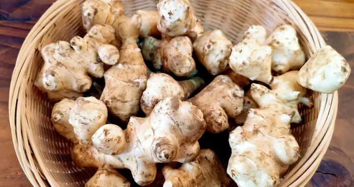 冬天，蓮藕山藥靠邊站，最該多喫它！脆嫩營養高，簡單一炒就上桌