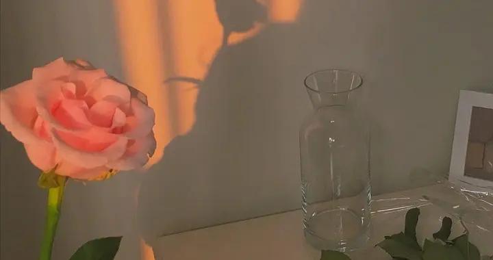 情感散文：人間意趣，深情雅緻