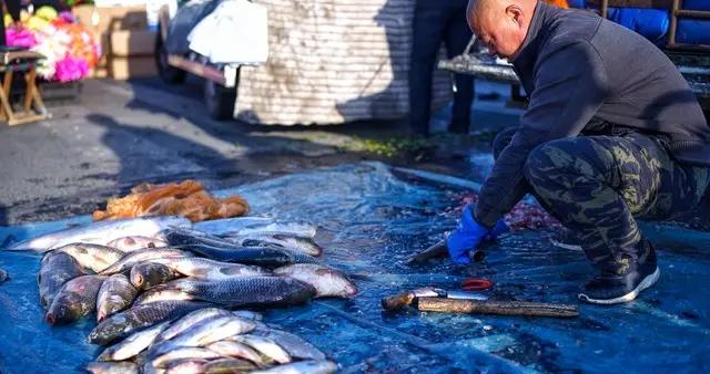 冬天喫魚，提醒大家，避開這4類“重金屬刺客”，再便宜也別買！