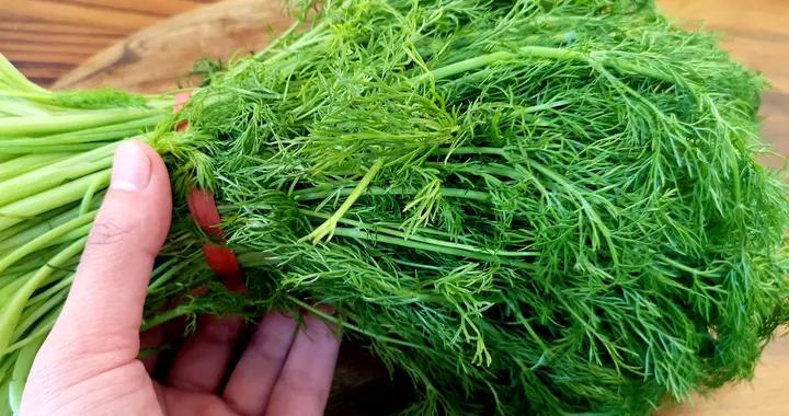 溼氣最怕這菜，便宜又好喫，建議中老年常喫，潤腸祛溼，還健脾胃