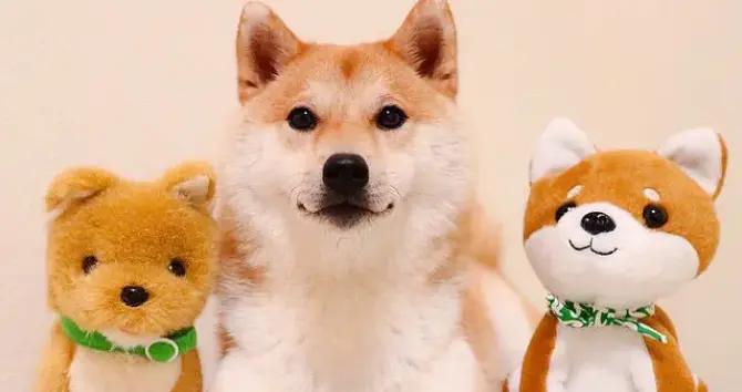 13個笑斷氣的幽默搞笑段子，笑到腮幫子疼！老婆笑的鼻涕泡滿天飛