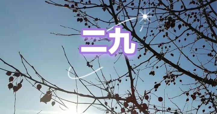 今日進“二九”，牢記1不穿2等3不曬4喫，攢足能量，爲冷天做準備