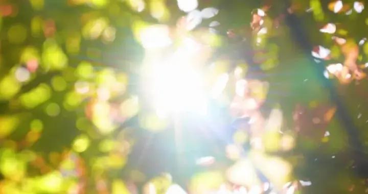 日光常照臨，百病不近身