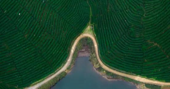 探索“西湖B面”只需一分錢  杭州西湖區文旅探索卡正式發售