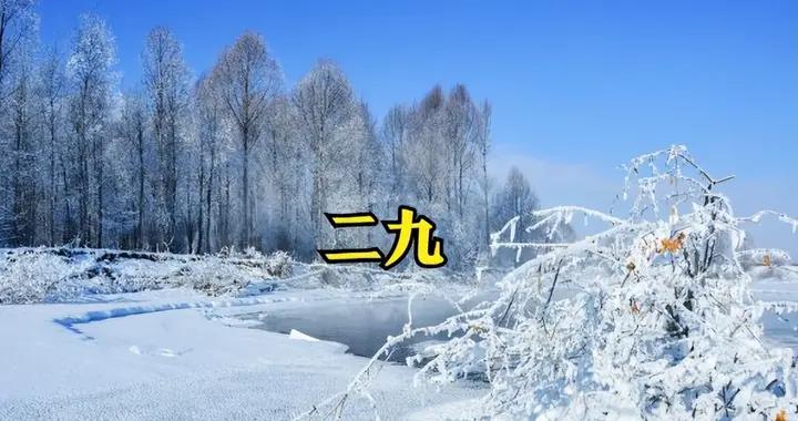 今天入二九，提醒中老年：別太心疼錢，多喫4種肉，養足精力過年