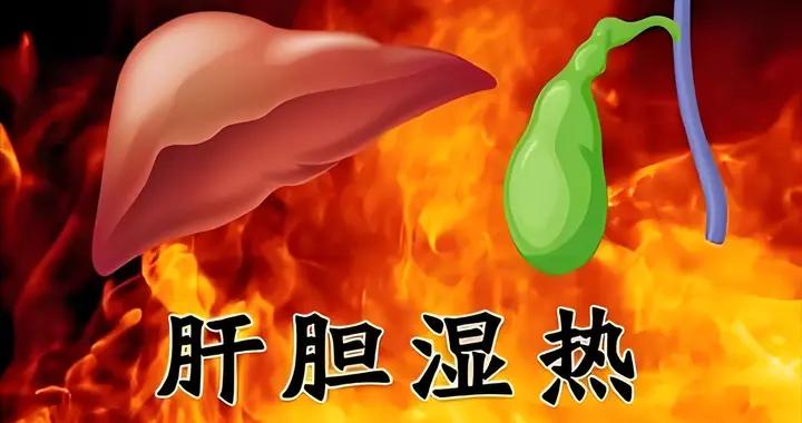 中醫調理脂肪肝有妙招！幫你恢復肝臟健康