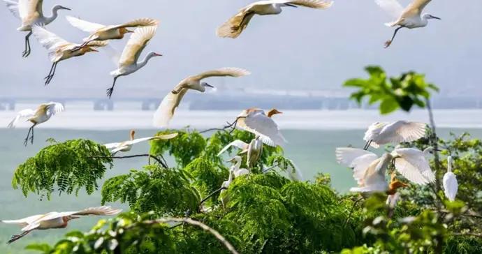寧波：“東方不老島”入選國家級名單