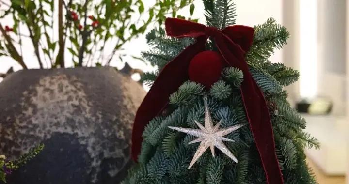 她們冬天這樣穿，真的很美！