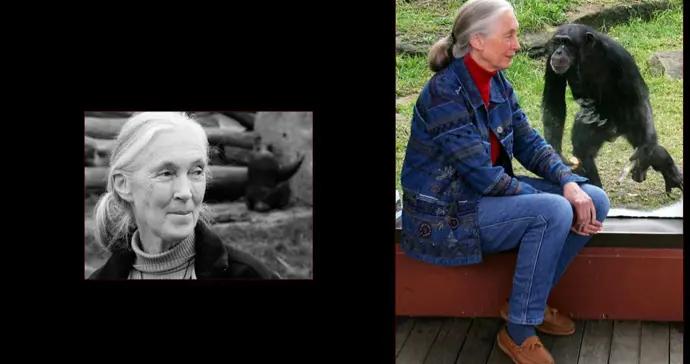 這一年，他們帶着笑意與我們作別