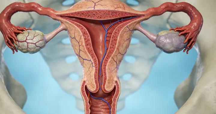 炎症總反覆、感染老不好？一箇中成藥，抗炎殺菌同時不只盯表面