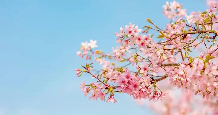 無瘀不成斑，中醫內調煥新顏