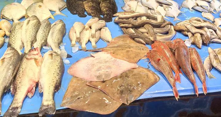 冬天，遇到這4種魚別手軟，比黃鱔和泥鰍還滋補，營養好喫又便宜