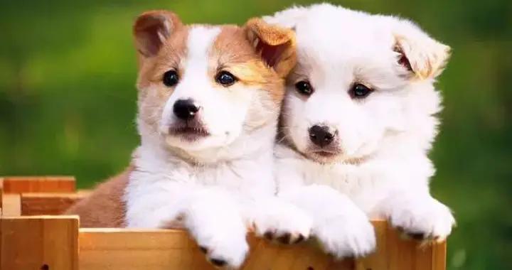 爆笑幽默笑話，笑點低的千萬別看，我怕你笑到鼻涕泡滿天飛