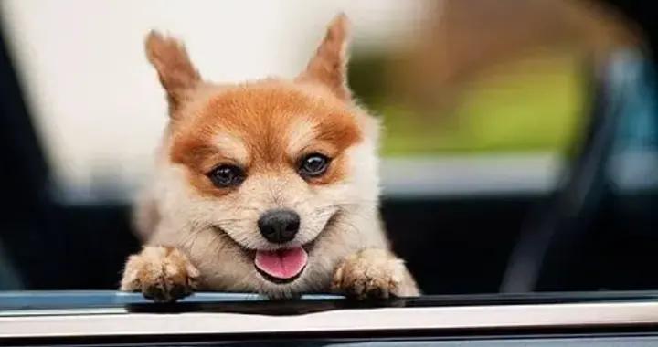 13個笑死人的爆笑幽默笑話，快拿去發朋友圈，絕對笑死你朋友