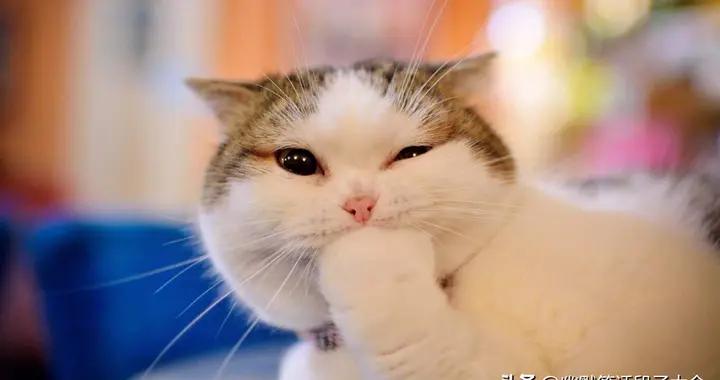 11個壓箱底的爆笑幽默笑話，笑點拉滿，讓人瞬間開懷大笑