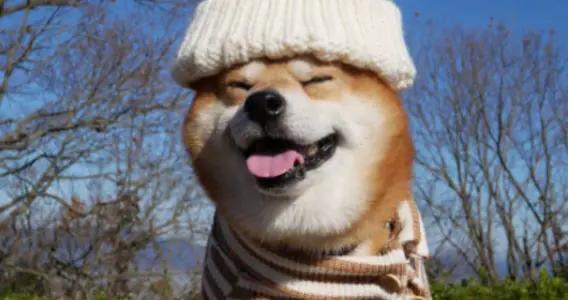 14個最潮爆笑幽默笑話，夠笑7天7夜了，看完你笑了幾天？