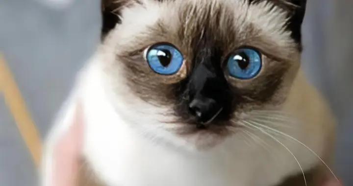 維生素推薦，有什麼推薦的牌子？