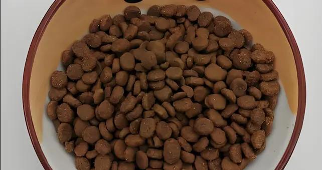 寬幅狗糧好嗎?產地、品質全解析!