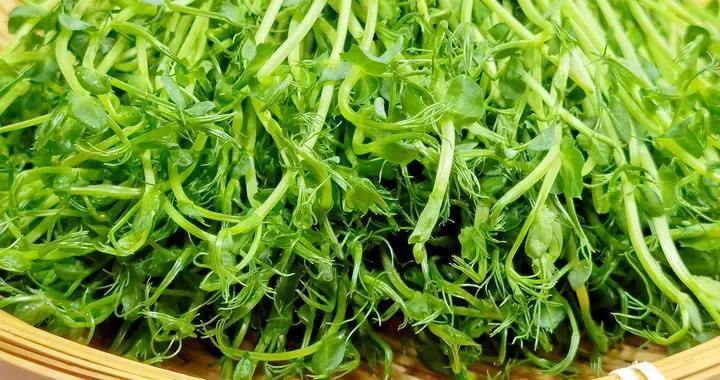 冬天這菜敞開喫，3塊一把的“菜中人蔘”！隨手一炒，脆爽又鮮美