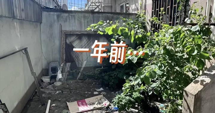 上海一男子，買下“沒人要”的一樓老破小，20㎡小院變花園，絕了