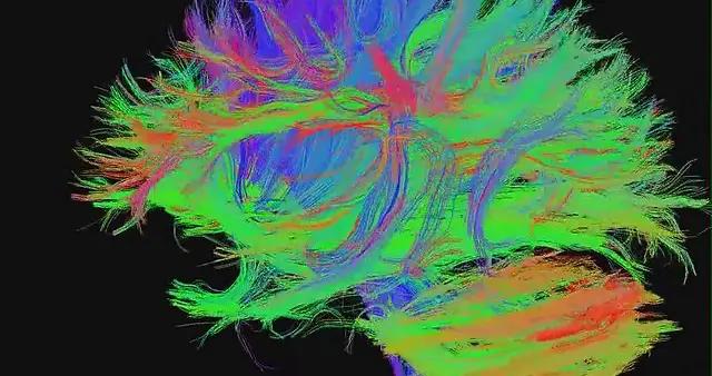 20歲之後腦力開始退步？不不不，人腦的巔峯持續到66歲