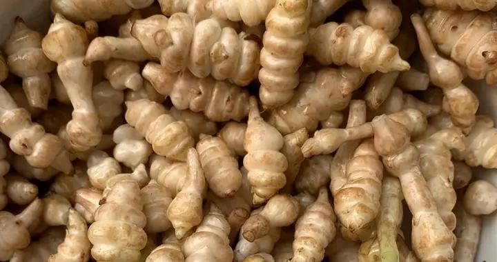 “冬天喫1根，腿腳站穩跟”，買幾斤醃起來，開胃下飯，老少皆宜