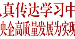 國務院國資委黨委認真傳達學習中央經濟工作會議精神
