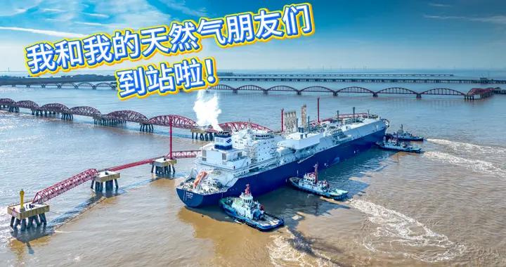 溫暖的“藍朋友”，正在爲你跨越山海