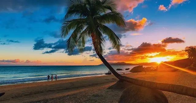 三亞被拋棄了？東北人悄悄的轉移陣地，去到了西雙版納就不想走了