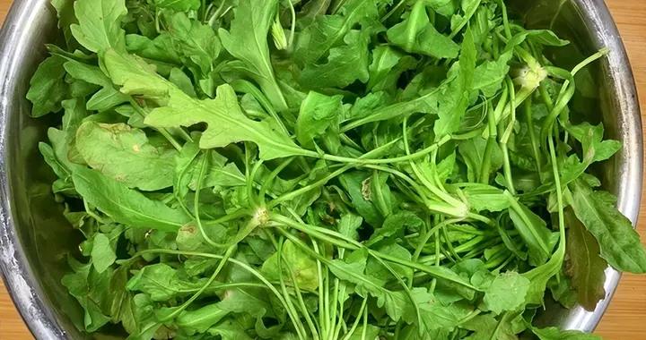 冬天喫這菜，病毒都跑開，一明目，二養肝，三補鈣，包餃子喫特香