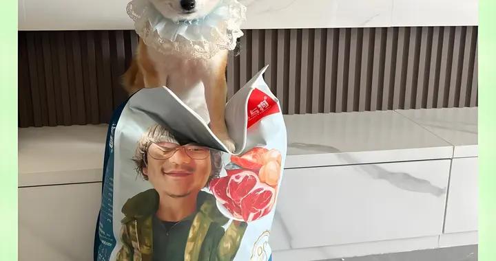 明亮與狗狗糧實際表現：營養吸收 + 適口性真實反饋